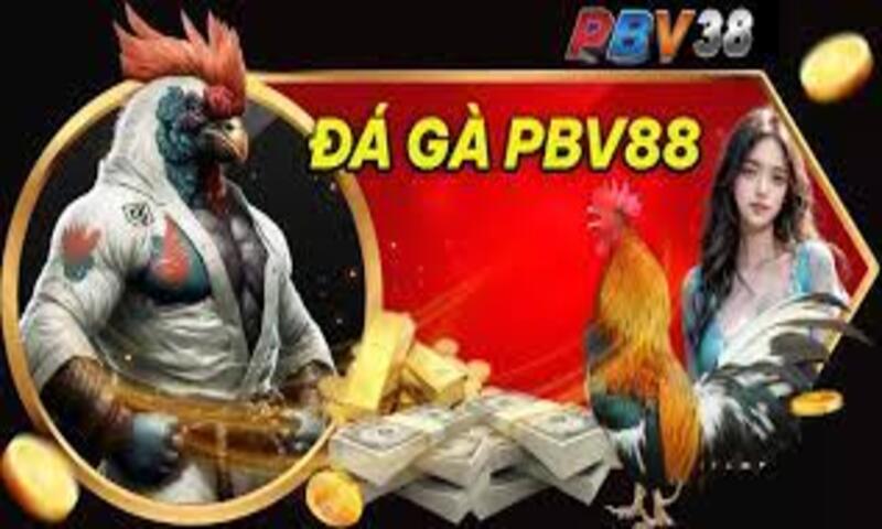 PBV88 có kho game giải trí uy tín và hấp dẫn