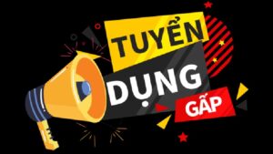 tuyển dụng PBV88